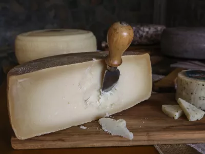 - 12.01.2023 - Kmetija Žerjal, sirarstvo - kozjereja in predelava kozjega mleka - proizvodnja zorjenega&nbsp;kozjega&nbsp;sira, Tomaj 75 B, Dutovlje, KRAS&nbsp;//FOTO: Luka Cjuha