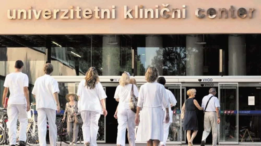 Tomaž Zajel&scaron;nik/dokumentacija Dnevnika