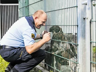 &Scaron;olanje službenih psov: Psa mora&scaron; naučiti ugrizniti