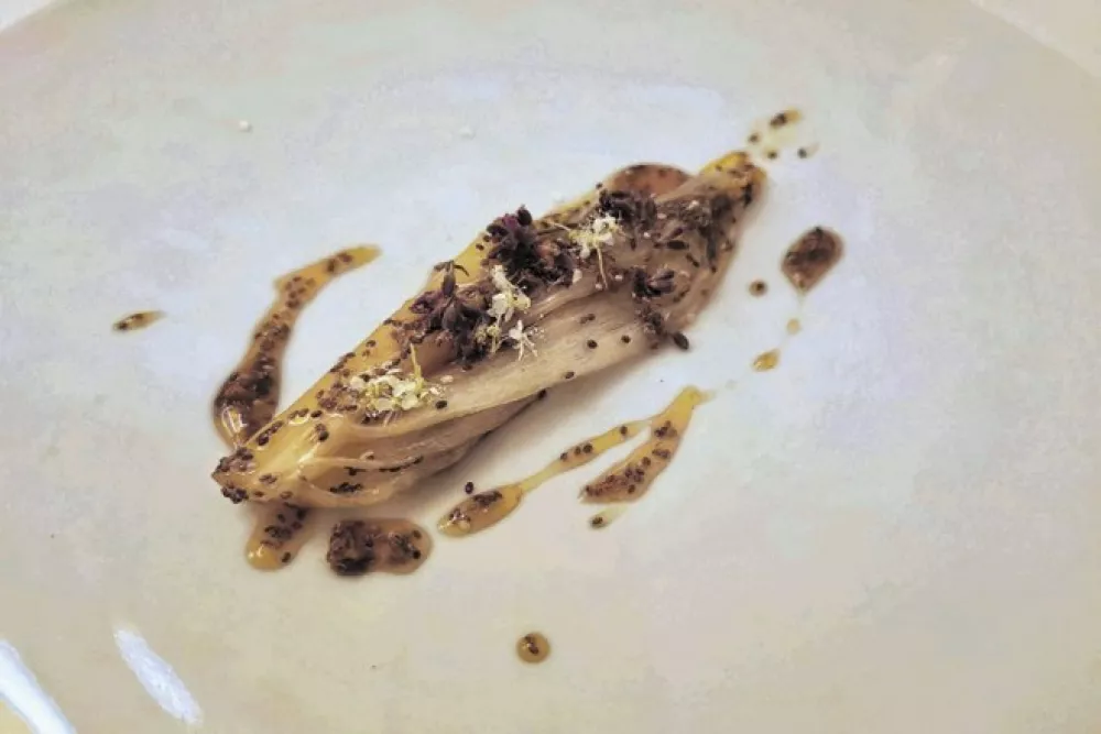 Mama Marija: novi obrazi v kranjskogorskem hotelu