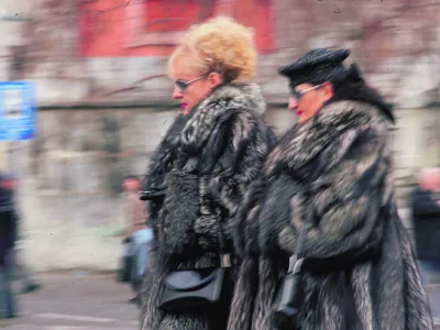 KrznoFOTO: JAKA GASAROPOMBA: ZA OBJAVO V ČASOPISU DIREKT------6 kol