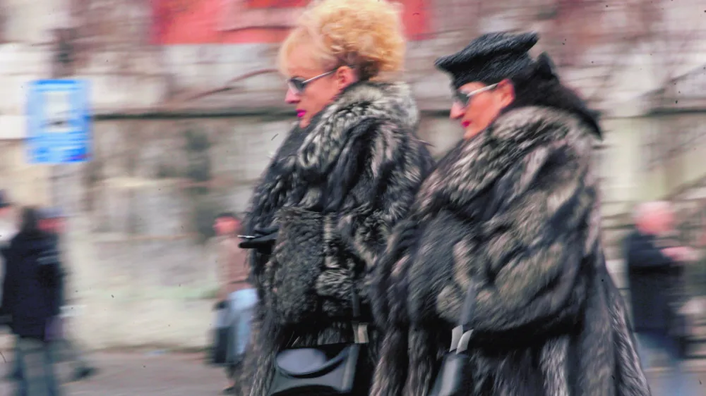 KrznoFOTO: JAKA GASAROPOMBA: ZA OBJAVO V ČASOPISU DIREKT------6 kol