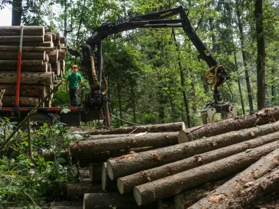 17.8.2016 - Lubadar - sanacija pokodovanih gozdov zaradi epidemije lubadarja - sečnja in spravilo pokodovanega lesa - podrta - polomljena drevesa - gozdovi - gozd - les - hlodovina -&nbsp; gozdarstvo - &nbsp;&nbsp;&nbsp;&nbsp;//FOTO: Luka Cjuha.