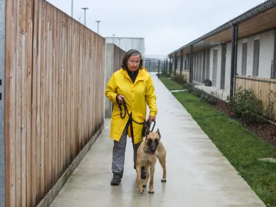 - 01.04.2022 - VIDA KOLO&Scaron;, sprehajalka psov v Gmajniah, rekorderka po &scaron;tevilo sprehodov //FOTO: Bojan Velikonja