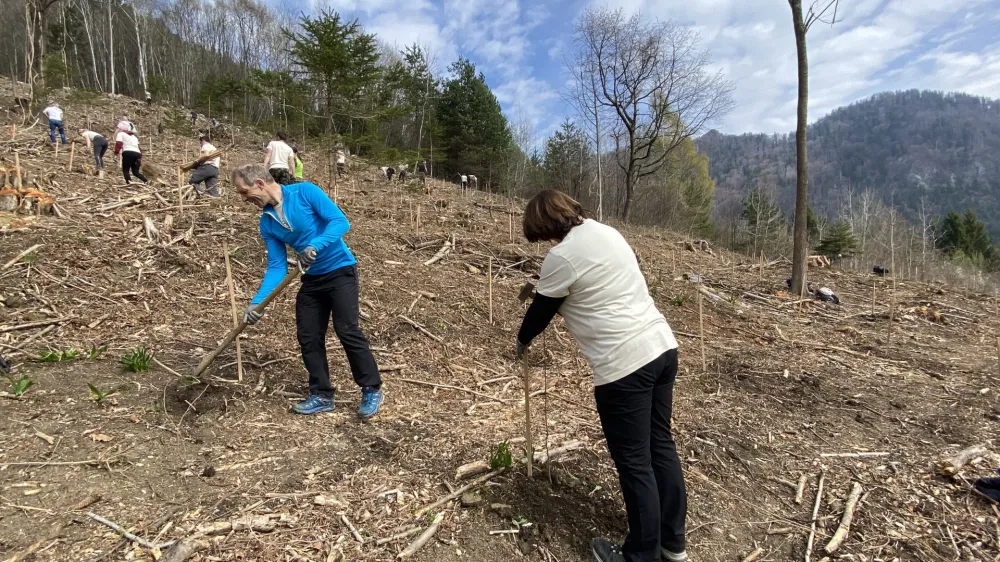 Elanovi zaposleni so posadili 1000 sadik dreves in bodo pet let skrbeli zanje