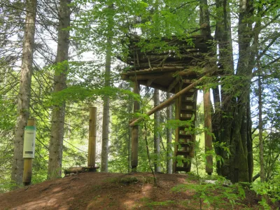 reko jezero, Kočevska Reka, Orlova po. Foto: Dragana Stanković