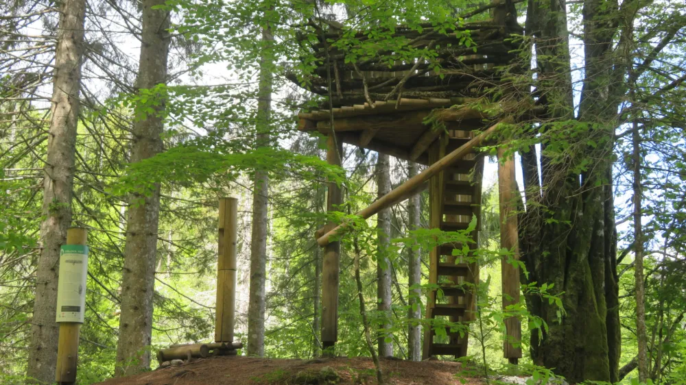 reko jezero, Kočevska Reka, Orlova po. Foto: Dragana Stanković