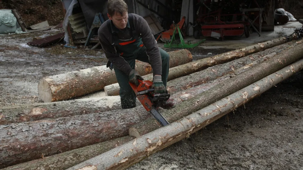 Za ustrezno preskrbo slovenske lesne industrije z lesom mora biti v strategijo s področja gozdno-lesne verige vključeno gozdarstvo, predvsem pa predstavniki zasebnih lastnikov gozdov, so poudarili na Zavodu za gozdove Slovenije. Foto: Luka Cjuha&nbsp;