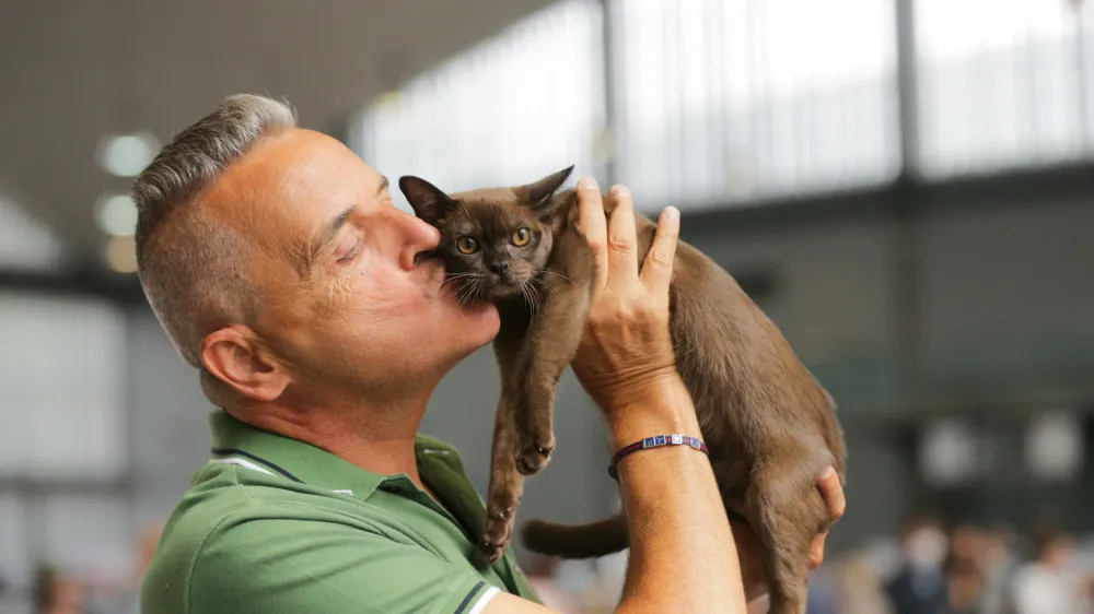 V Felinolo&scaron;kem dru&scaron;tvu Ljubljana organiziramo mednarodno mačjo razstavo, ki bo letos potekala 14. in 15. maja na novi in bolj dostopni lokaciji, v Hali Tivoli v Ljubljani. 