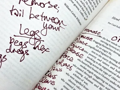 Skupno bo na dražbi naprodaj 227 knjig, ki so bile v lasti amy Winehouse. F instagram