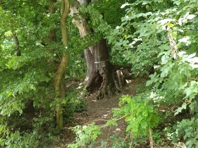 Obiskovalce prosimo, naj se v času sečnje zaradi lastne varnosti izognejo delovi&scaron;ču oz. upo&scaron;tevajo navodila izvajalcev del. Svetujemo, naj ne nosijo slu&scaron;alk, ki bi preprečile zaznavanje okolice. Psi morajo biti na povodcu.