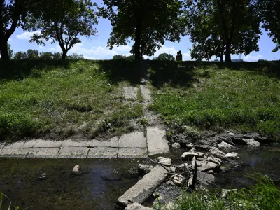 Zaradi prisotnosti potencialno strupenih cianobakterij v Glin&scaron;čici ob Poti spominov in tovari&scaron;tva raziskovalci sprehajalcem in njihovim psom odsvetujejo neposreden stik z vodo.