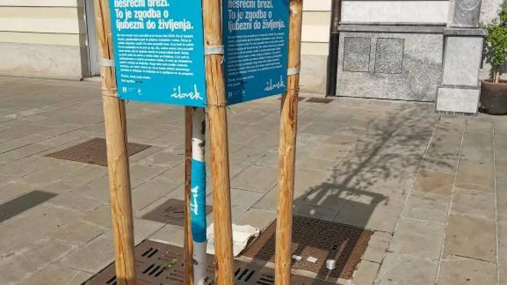 Po&scaron;kodovano brezo smo simbolno povili s skrbjo za življenje, ob njej pa namestili tablice z življenjsko zgodbo brez, ki so stale na tem mestu. Breza je tako postala simbol upanja za vsa drevesa v mestu, da ne bi nikoli postala žrtev vandalizma.