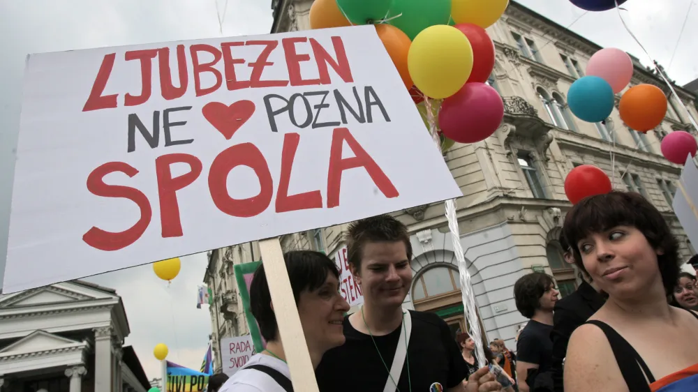 Ustavni sodniki so presodili, da absolutna prepoved uvrstitve istospolnih partnerjev na seznam kandidatov za skupno posvojitev ni primeren ukrep za zasledovanje varstva največje koristi otroka.