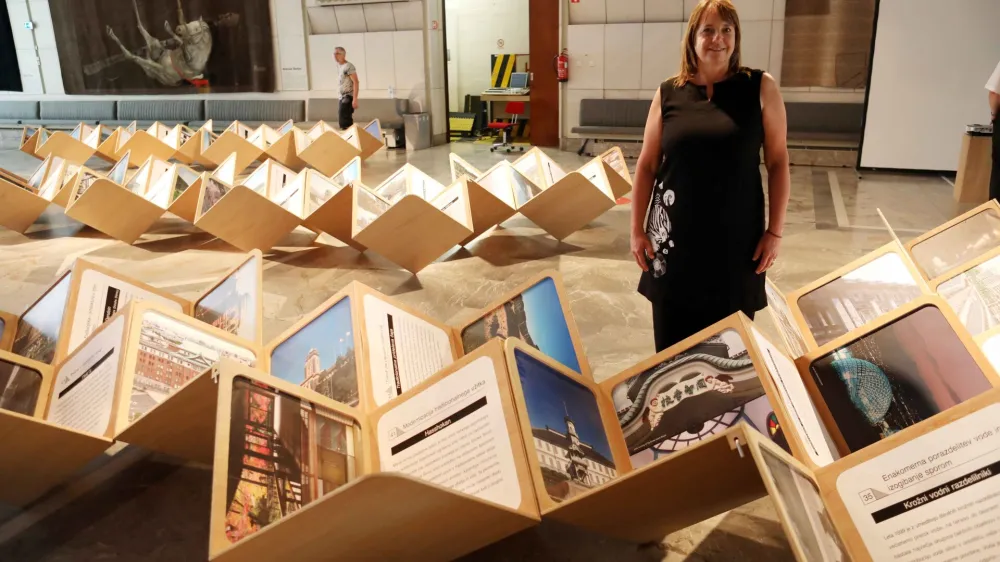 12. 07. 2022 - Barbara &Scaron;ubicrazstava v CD- Alternativni vodnik po JaponskemFoto: Tomaž Skale