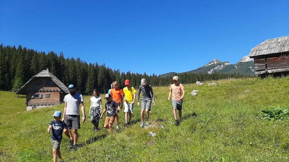 Udeleženci tabora Mladi nadzornik med pohodom do planine Zajavornik, kjer so si ogledali, kako iz mleka krav, ki se pasejo na planini, izdelujejo sir.