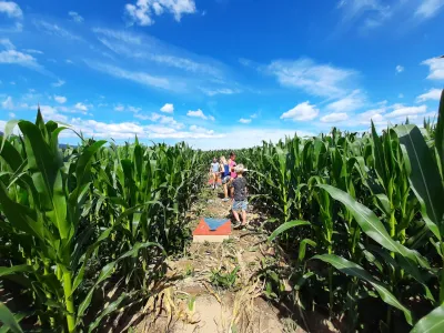 Pred odprtjem kranjskega labirinta so imeli precej težav s su&scaron;o, a je na srečo zadnje deževje koruzo dovolj namočilo in ta zdaj lepo uspeva.