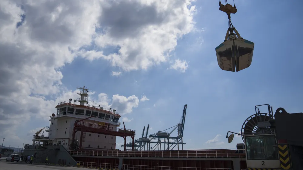 The cargo ship Polarnet, arrives to Derince port in the Gulf of Izmit, Turkey, Monday Aug. 8, 2022. The first of the ships to leave Ukraine under a deal to unblock grain supplies amid the threat of a global food crisis arrived at its destination in Turkey on Monday. (AP Photo/Khalil Hamra)