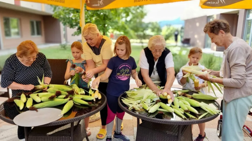 Medgeneracijsko sodelovanje pri koruzi