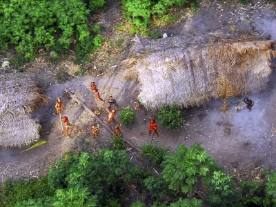 Organizacije, ki s svojim delom &scaron;čitijo domorodske skupnosti, ocenjujejo, da je preostalih skupnosti od 235 do 300, natančnega &scaron;tevila pa zaradi omejenih stikov ljudstev z naseljensko družbo nimajo.