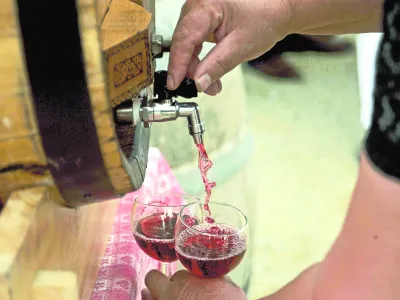 Večina se strinja, da je cviček treba prenoviti, posodobiti, vpra&scaron;anje pa je, kako. Foto: Tomaž Zajel&scaron;nik&nbsp;