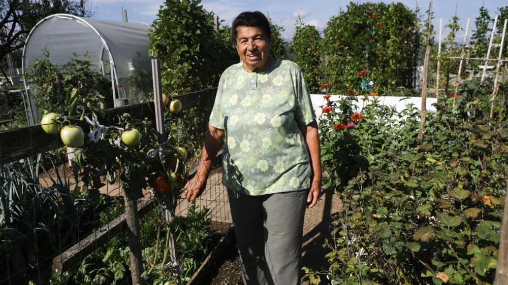 Gospa Mira Babić, ki ima svoj vrtiček pri Glin&scaron;kovi plo&scaron;čadi, posledic su&scaron;e na svojem vrtičku ni opazila.