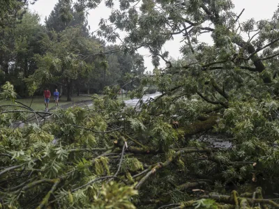 - 18.08.2022 &ndash; neurje v Ljubljani - podrta drevesa - Tivoli //FOTO: Jaka Gasar