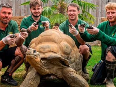 Navdu&scaron;eni oskrbniki želvaka Dirka z njegovim podmladkom. F BNPS
