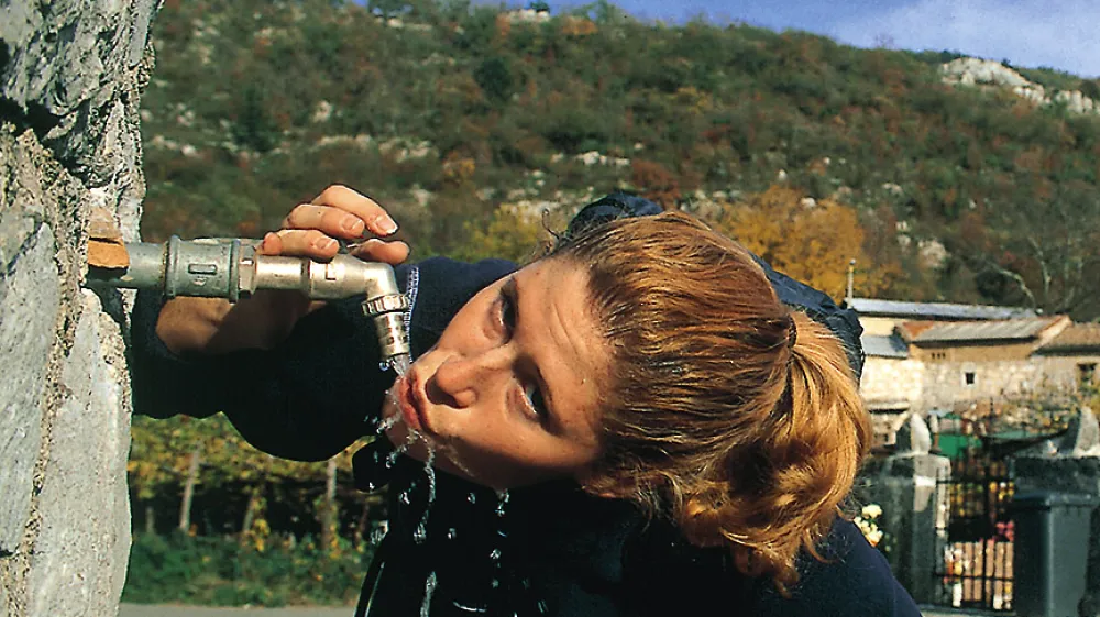 Pitje vode, osvežitev,pasja vročina,poletje,pitna voda pipa