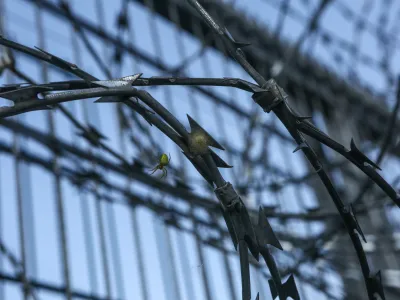 - 18.06.2018 - simbolična fotografija rezilna žicazapiranje mejnega prehoda - mejni prehod Žuniči v občini Črnomelj - (slovensko - hrva&scaron;ka ilegalna meja), reka Kolpa - panelna ograja - - Migranti 2018 &ndash; nova migrantska balkanska pot iz Makedonije preko Kosova, Črne gore, Bosne in Hercegovine proti zahodni Evropi - džamijska begunska pot - begunci -  //FOTO: Luka Cjuha