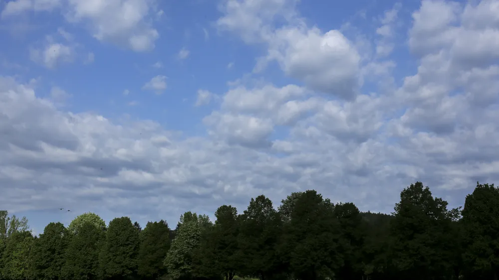 - oblaki - drevesa - narava - <br><br><br>- 59. Pohod ob žici Ljubljana 2015 - Pot ob žici - otroci iz ljubljaskih vrtcev na poti okoli žice - &Scaron;i&scaron;ka               //FOTO: Jaka Gasar