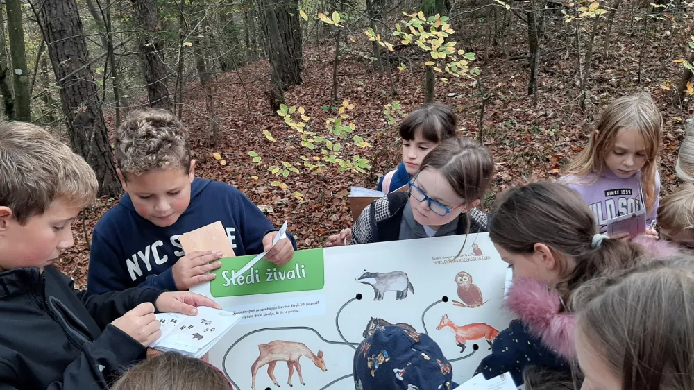 Učna pot, ki jo sestavljajo privlačne postaje, vodi po stezicah gozda in je dolga približno tri kilometre.