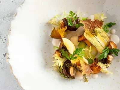 Platan Budimpe&scaron;ta