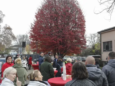 - 28.11.2022 &ndash; Drevo leta 2022 - Perzijska bukev na zelenici pred zavodom za transfuzijsko medicino, &Scaron;lajmerjeva 6 v Ljubljani  //FOTO: Jaka Gasar