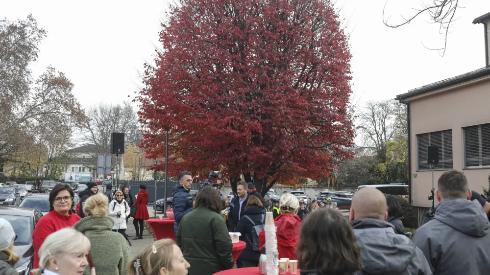 - 28.11.2022 &ndash; Drevo leta 2022 - Perzijska bukev na zelenici pred zavodom za transfuzijsko medicino, &Scaron;lajmerjeva 6 v Ljubljani  //FOTO: Jaka Gasar