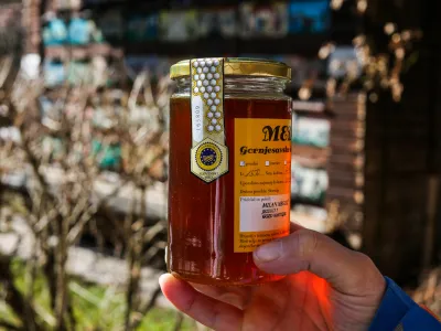 slovenski med Gornjesavske doline - za&scaron;čitena geografska označba - slovenska kakovost - 28.02.2019 - Milan Meglič, čebelar - zagovornik ekolo&scaron;kega čebelarjenja in sonaravnega zatiranja varoj,  //FOTO: Bojan Velikonja