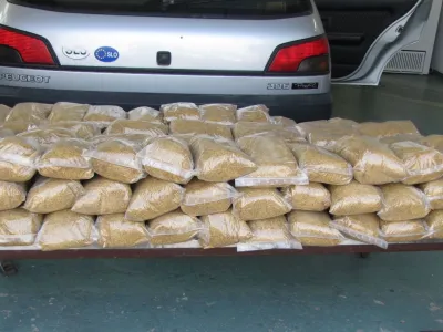 Če bo zakon sprejet, bodo in&scaron;pektorji Fursa ob sumu najhuj&scaron;ih kr&scaron;itev davčnih predpisov na vozila s spornim blagom, denimo s tobačnimi listi, tajno namestili sledilne naprave s sistemom GPS. Na fotografiji: zaseženi tobak iz avta z dvojnim dnom. Foto: Arhiv Dnevnika