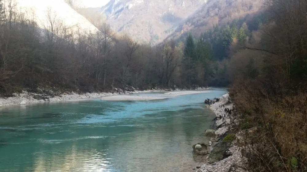 Izvir Kamni&scaron;ka bistrica