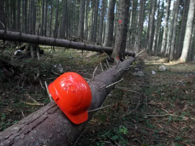 - Pokljuka - poklju&scaron;ki gozdovi gostili politike - Zavod za gozdove Slovenije je povabil člane odbora DZ za za kmetijstvo, gozdarstvo in prehrano, da bi se na lastne oči prepričali kako poteka sečnja in spravilo v ujmah po&scaron;kodovanega lesa  ///FOTO: Luka CjuhaOPOMBA: ZA OBJAVO V ČASOPISU DNEVNIK