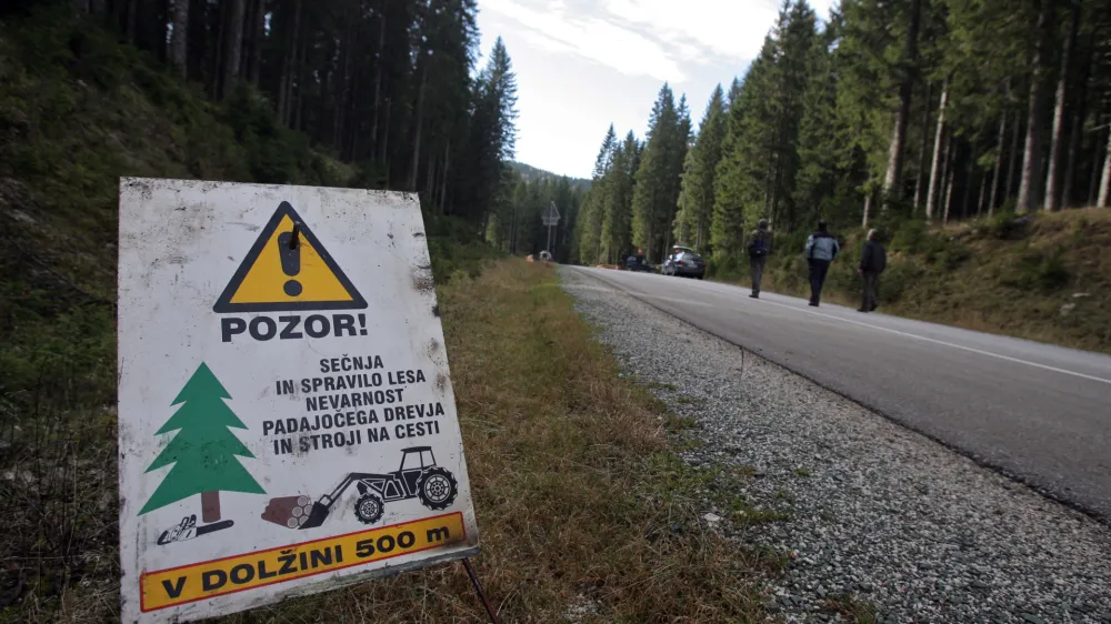 - Pokljuka - poklju&scaron;ki gozdovi gostili politike - Zavod za gozdove Slovenije je povabil člane odbora DZ za za kmetijstvo, gozdarstvo in prehrano, da bi se na lastne oči prepričali kako poteka sečnja in spravilo v ujmah po&scaron;kodovanega lesa  ///FOTO: Luka CjuhaOPOMBA: ZA OBJAVO V ČASOPISU DNEVNIK