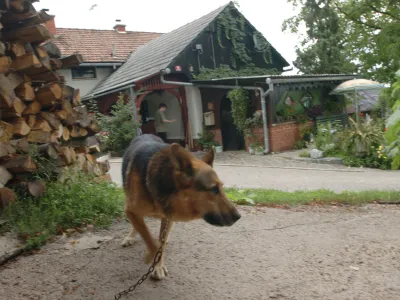 Psi na kmetijah lahko ostanejo na verigi, vendar le, če je vodilo dolgo najmanj pet metrov in je vsaj dva metra nad tlemi, privez pa mora psu omogočati najmanj &scaron;tiri metre gibanja v obe stranski smeri od vodoravnega vodila.