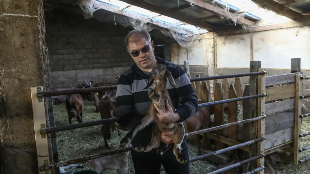 Žerjal Matjaž- 12.01.2023 - Kmetija Žerjal, sirarstvo - kozjereja in predelava kozjega mleka - proizvodnja zorjenega&nbsp;kozjega&nbsp;sira, Tomaj 75 B, Dutovlje, KRAS&nbsp;//FOTO: Luka Cjuha