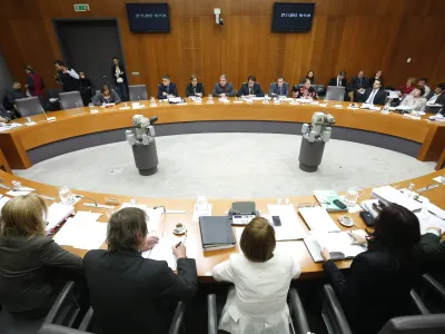 Ljubljana, DZ. Seja odbora DZ za delo, druzino, socialne zadeve in invalide, na kateri so med drugim obravnavali predlog zakona o pokojninskem in invalidskem zavarovanju. Foto: Stanko Gruden/STA