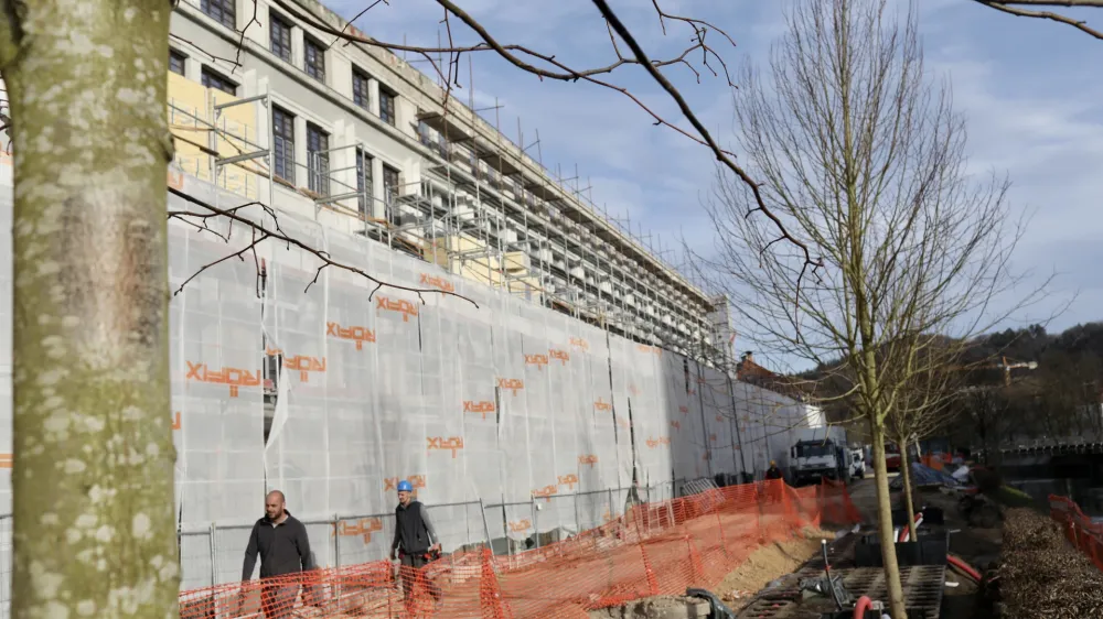 Rog, Petkov&scaron;kovo nabrežje, drevesa, 