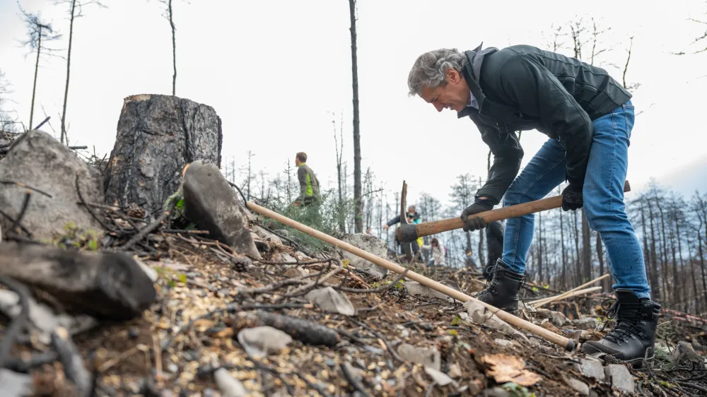 Kras, Rence.<br>Druzba Slovenski drzavni gozdovi je na stirih lokacijah po drzavi organizirala vseslovensko prostovoljno akcijo sajenja mladih dreves z naslovom Pomladimo gozdove 2023. V blizini Renc na Goriskem Krasu so na povrsini, ki jo je prizadel lanski veliki pozar, sejali semena drevesnih vrst.