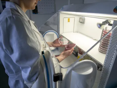 laboratorij<br><br><br>- 04.03.2020 &ndash; Maribor - Nacionalni laboratorij za zdravje, okolje in hrano (NLZOH) - Center za medicinsko mikrobiologijo &ndash; testiranje vzorcev dihal bolnikov pri katerih obstaja sum na okužbo z novim koronavirusom SARS-CoV-2 (COVID-19), Prvomajska 1 v Mariboru //FOTO: Matjaž Ru&scaron;tOPOMBA: REPORTAŽA ZA OBJEKTIV 2020