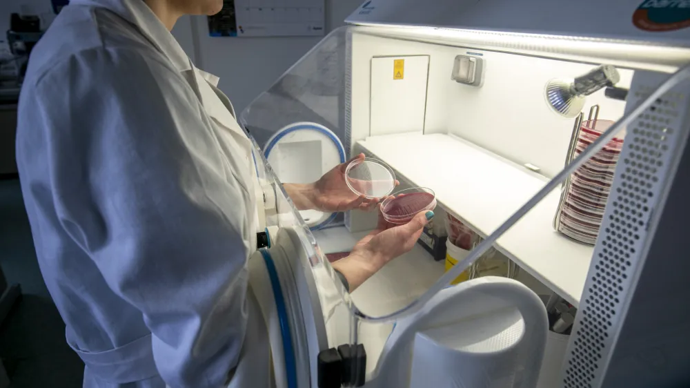 laboratorij<br><br><br>- 04.03.2020 &ndash; Maribor - Nacionalni laboratorij za zdravje, okolje in hrano (NLZOH) - Center za medicinsko mikrobiologijo &ndash; testiranje vzorcev dihal bolnikov pri katerih obstaja sum na okužbo z novim koronavirusom SARS-CoV-2 (COVID-19), Prvomajska 1 v Mariboru //FOTO: Matjaž Ru&scaron;tOPOMBA: REPORTAŽA ZA OBJEKTIV 2020