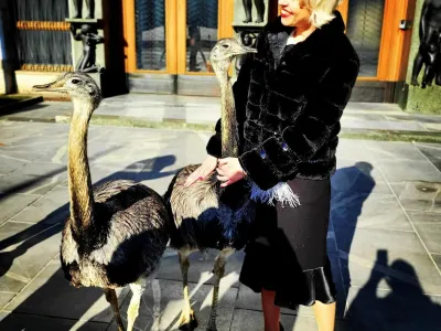 Ur&scaron;ka Klakočar Zupančič se je pred časom pred parlamentom fotografirala z nojema, ob obisku Ugande pa je posvojila &scaron;impanza. F instagram