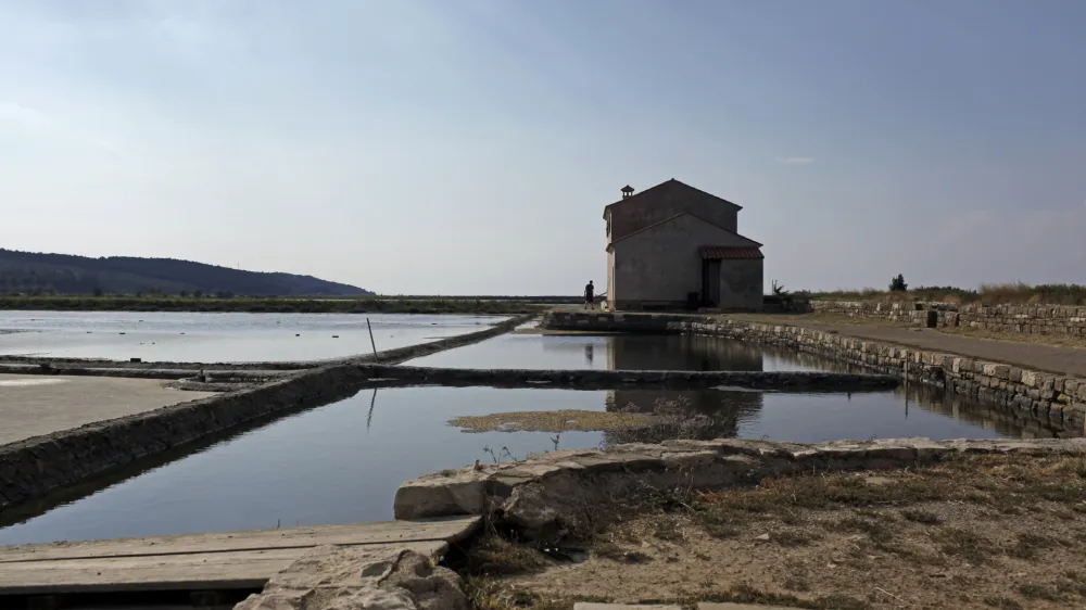 - Krajinski park Sečoveljske soline (KPSS) - Sečovlje- reportaža v Sečoveljskih solinah, Krajinskem parku in Muzeju solinarstva 2013 - //FOTO: Jaka GasarOPOMBA: ZA OBJAVO V PRILOGI - DNEVNIKOV OBJEKTIV - REPORTAŽA 2013