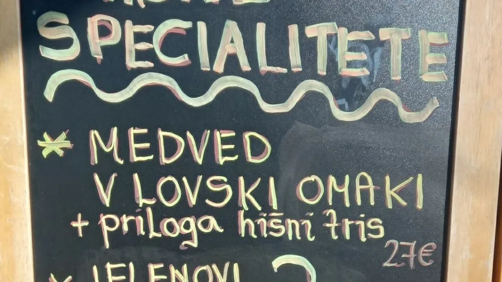 medved, hrana, jedilnik